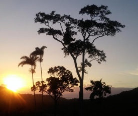 Daintree Holiday Homes - Yurara