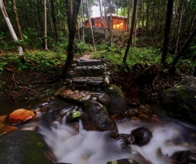 Daintree Cascades