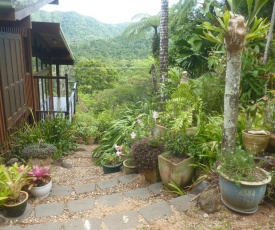 Daintree Holiday Homes - The Folly