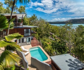 Kingfisher on Hamilton Island