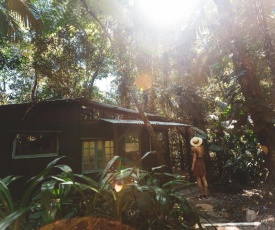 Cassowary House