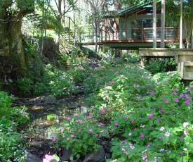 Treetops Montville