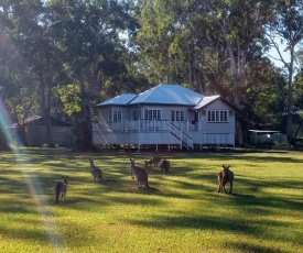 Lake Weyba Noosa Lodge & Kangaroos