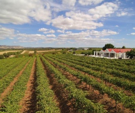 1837 Barossa Luxury Vineyard Cottages