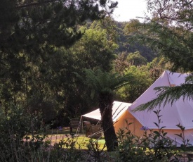 Glamping at Zeehan Bush Camp