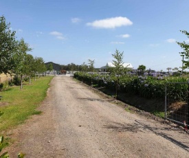 Silverbirch Cottage