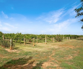 Milawa Vineyard Views - Guesthouse 2