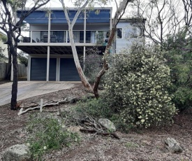 Holiday House in Native Bush Overlooking Wetlands