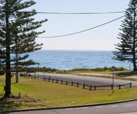 The Penguins Head - across from the beach