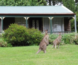 Cedar Lodge Cabins