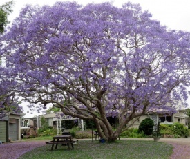 Ecotel Narooma