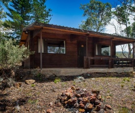 Snowy River Cabins