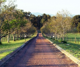 Blueberry Hill Vineyard Stay