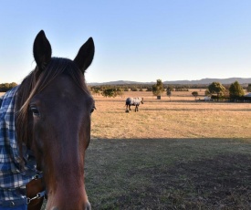 Clydesdale Cottage on Talga with real Clydesdale Horses